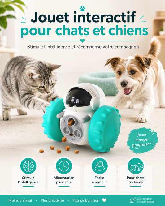 Jouet Interactif pour Chats et Chiens : Stimulez l'Intelligence de Votre Compagnon