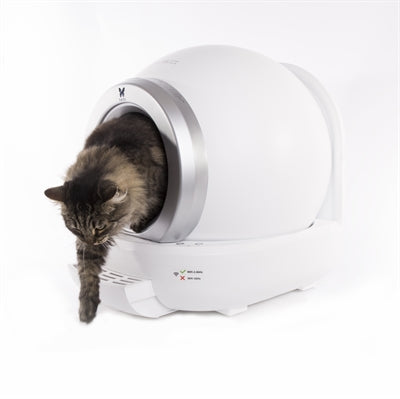Litière automatique Martin - chat utilisant la litière