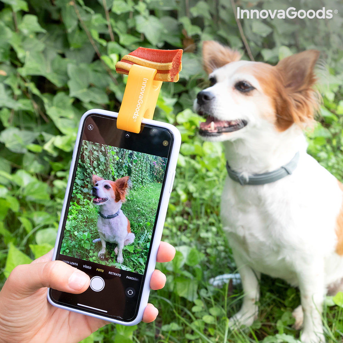 Pince Selfie pour Animaux 🐾 Accessoire Photo Chien & Chat
