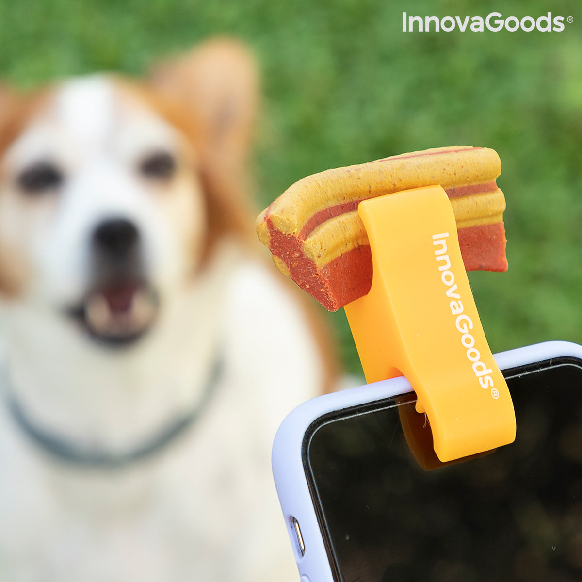 Pince Selfie pour Animaux 🐾 Accessoire Photo Chien & Chat
