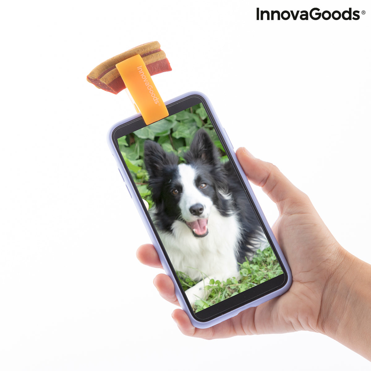 Pince Selfie pour Animaux 🐾 Accessoire Photo Chien & Chat