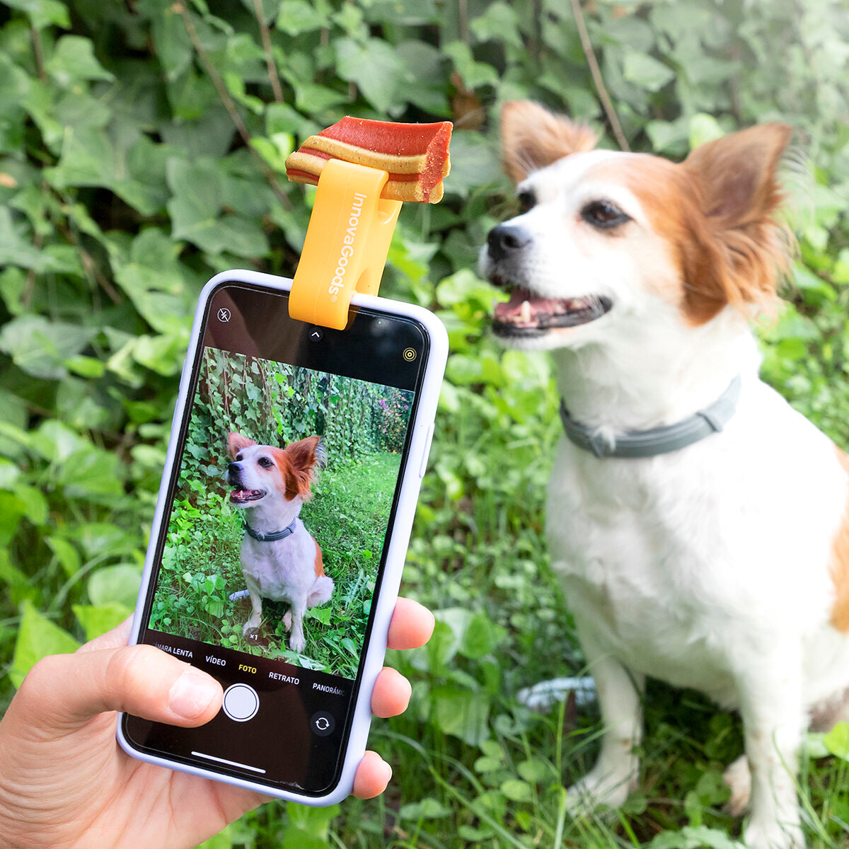 Pince Selfie pour Animaux 🐾 Accessoire Photo Chien & Chat