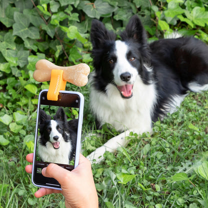 Pince Selfie pour Animaux 🐾 Accessoire Photo Chien & Chat