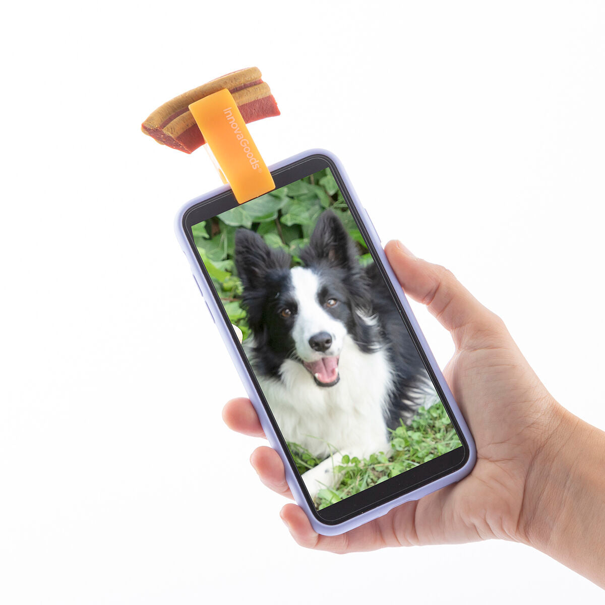 Pince Selfie pour Animaux 🐾 Accessoire Photo Chien & Chat